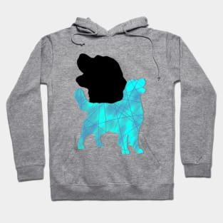 Golden Retriever Hoodie